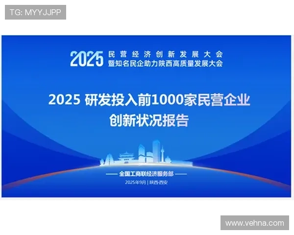 以优秀民营企业家为引领推动中国经济高质量发展的创新路径与实践经验